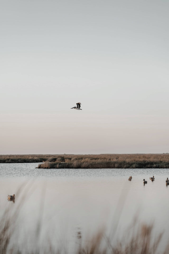 Finding Rhythm